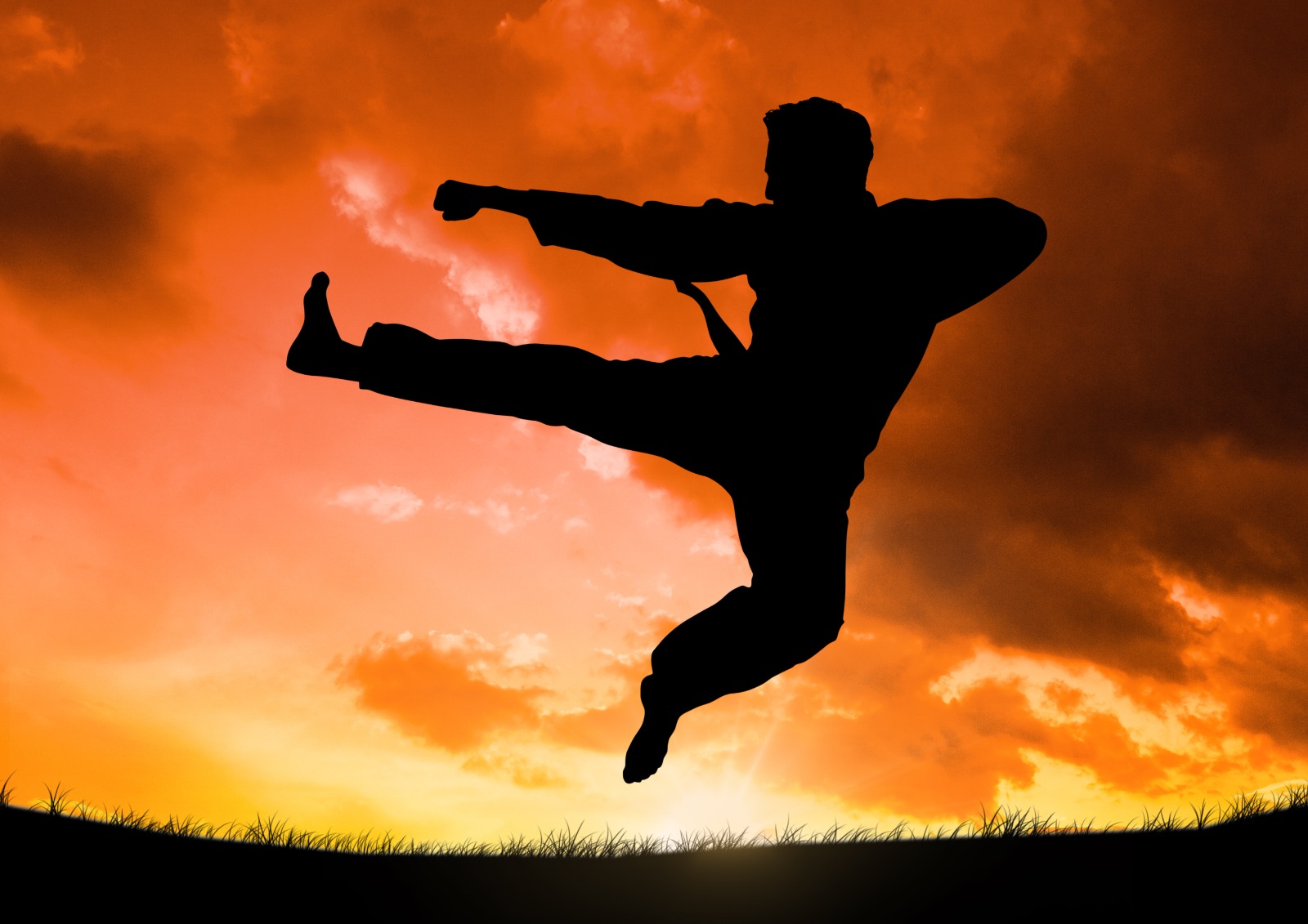Martial Arts